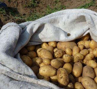 Выпускники Исламского колледжа продолжают поддерживать свой колледж даже после окончания обучения