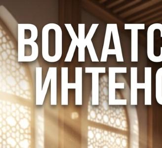 В исламском колледже «Галия» прошёл вожатский интенсив